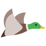 Mallard Duck Icon